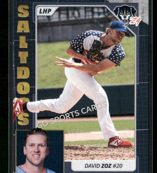 2024 Lincoln Saltdogs David Zoz