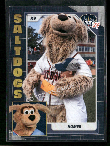 2024 Lincoln Saltdogs Homer Mascot