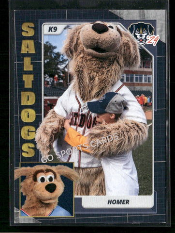2024 Lincoln Saltdogs Homer Mascot