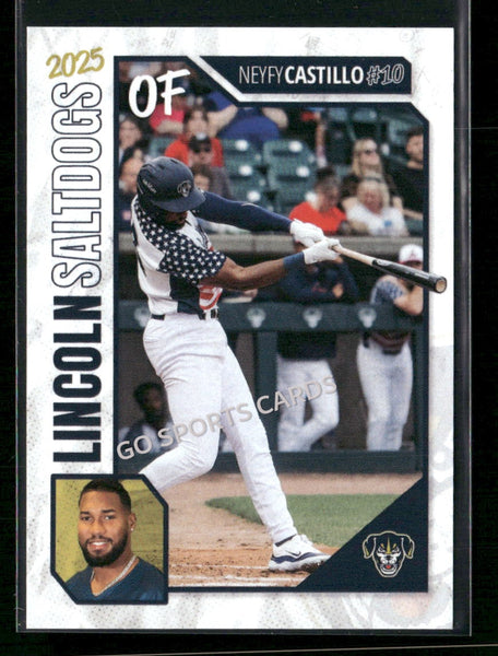 2025 Lincon Saltdogs Neyfy Castillo