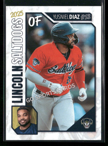 2025 Lincon Saltdogs Yusniel Diaz