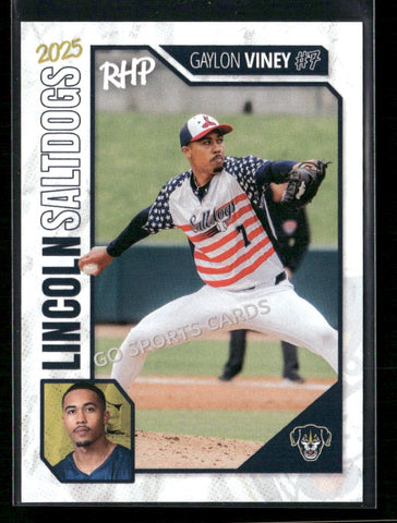 2025 Lincon Saltdogs Gaylon Viney
