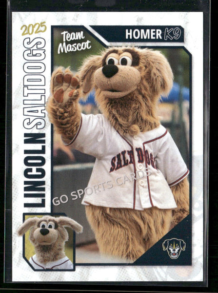 2025 Lincon Saltdogs Homer Mascot