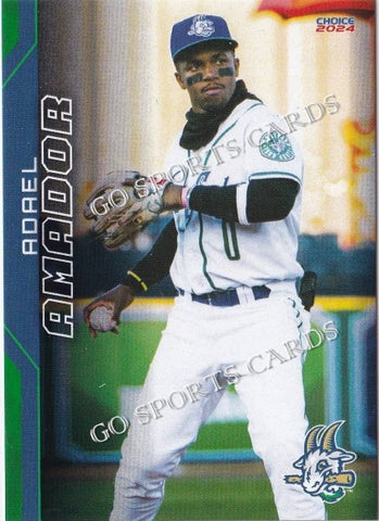 2024 Hartford Yard Goats Adael Amador
