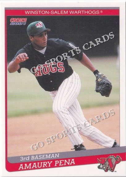 2001 Winston Salem Warthogs Amaury Pena