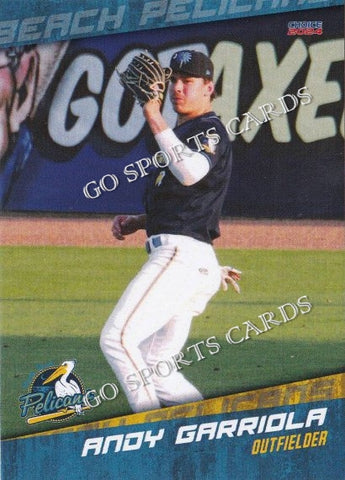 2024 Myrtle Beach Pelicans Andy Garriola