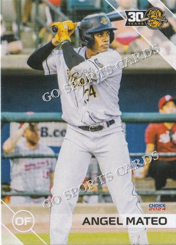 2024 Charleston RiverDogs Angel Mateo
