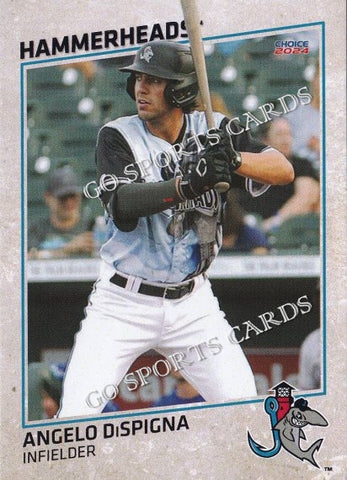 2024 Jupiter Hammerheads Angelo DiSpigna