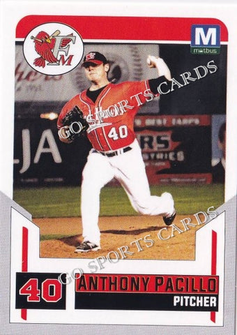 2017 Fargo Moorhead RedHawks Anthony Pacillo