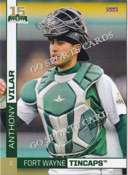 2024 Fort Wayne TinCaps Anthony Vilar