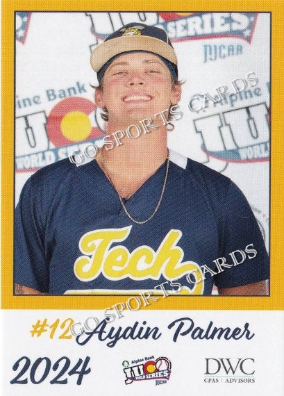 2024 Florence Darlington Technical College Stingers JUCO Aydin Palmer