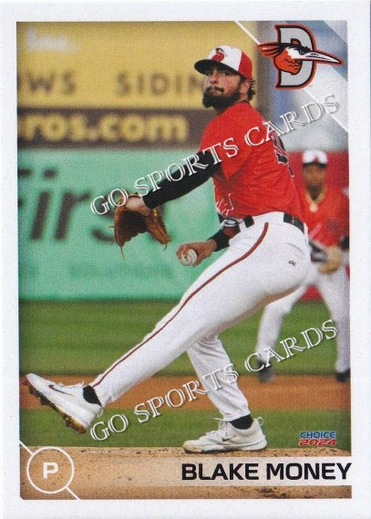 2024 Delmarva Shorebirds Blake Money