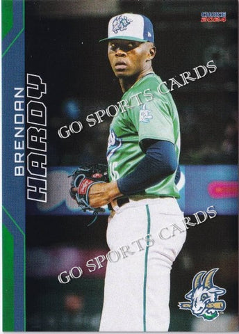 2024 Hartford Yard Goats Brendan Hardy