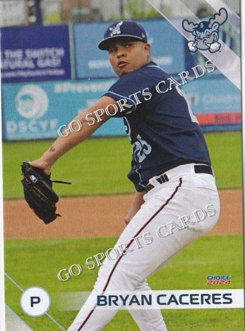 2024 Wilmington Blue Rocks Bryan Caceres