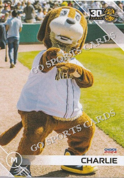 2024 Charleston RiverDogs Charlie Mascot