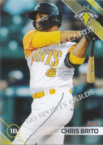 2024 Columbia Fireflies Chris Brito