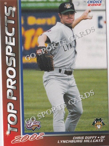 2002 Carolina League Top Prospects Chris Duffy