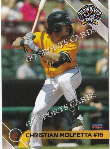2024 Erie SeaWolves Christian Molfetta