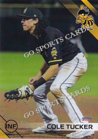 2024 Salt Lake Bees Cole Tucker