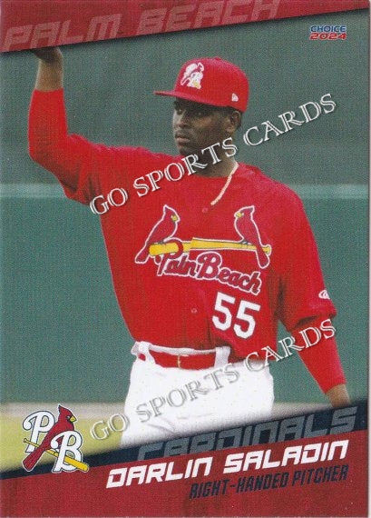 2024 Palm Beach Cardinals Darlin Saladin