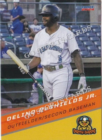 2024 Charleston Dirty Birds Delino DeShields Jr