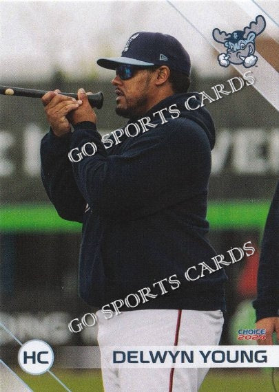 2024 Wilmington Blue Rocks Delwyn Young