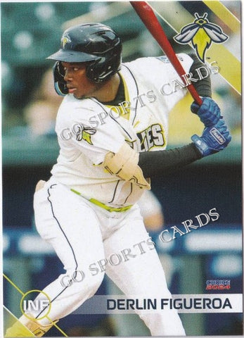 2024 Columbia Fireflies Derlin Figueroa