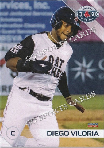 2024 Salem Red Sox Diego Viloria