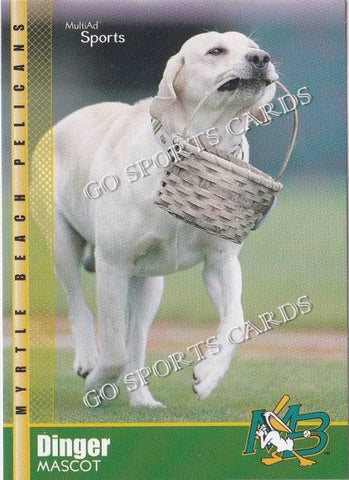 2002 Myrtle Beach Pelicans Dinger The Homerun Dog 