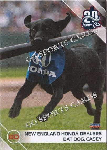 2024 New Hampshire Fisher Cats Casey Bat Dog