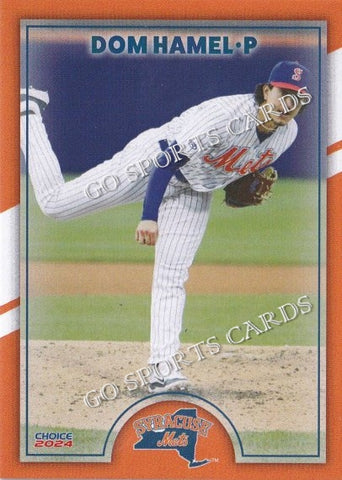 2024 Syracuse Mets Dom Hamel