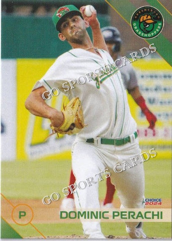 2024 Greensboro Grasshoppers Dominic Perachi