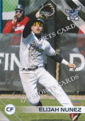 2024 Wilmington Blue Rocks Elijah Nunez