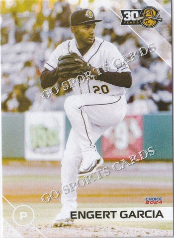 2024 Charleston RiverDogs Engert Garcia
