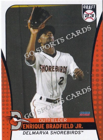 2023 Delmarva Shorebirds Update Enrique Bradfield Jr