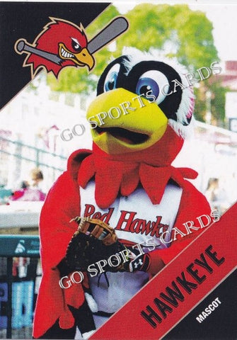 2018 Fargo Moorhead RedHawks Hawkeye Mascot