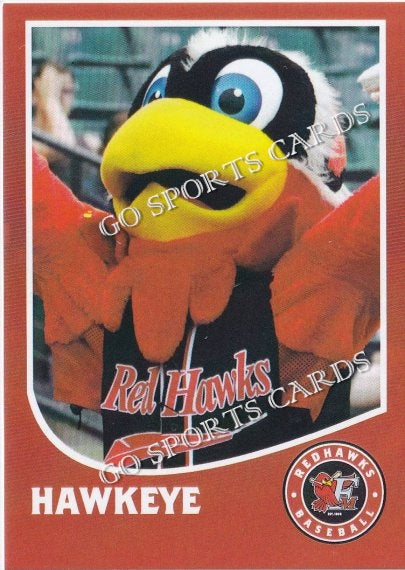 2022 Fargo Moorhead RedHawks Hawkeye Mascot