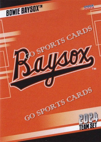 2024 Bowie Baysox Header Checklist