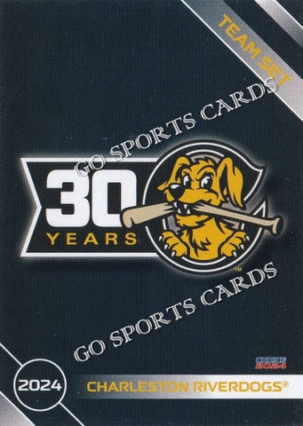 2024 Charleston RiverDogs Header Checklist