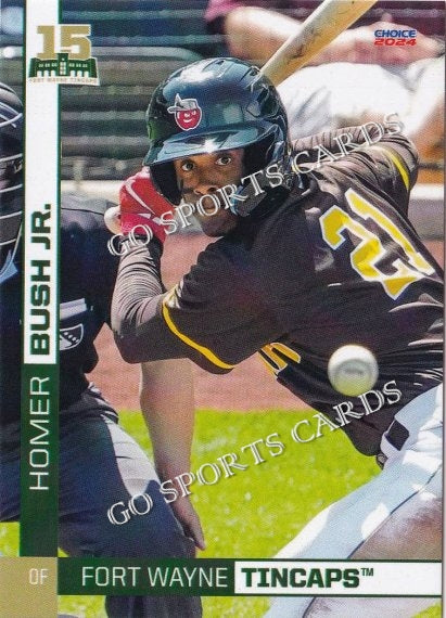 2024 Fort Wayne TinCaps Homer Bush Jr