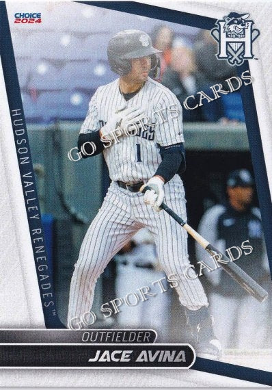 2024 Hudson Valley Renegades Jace Avina