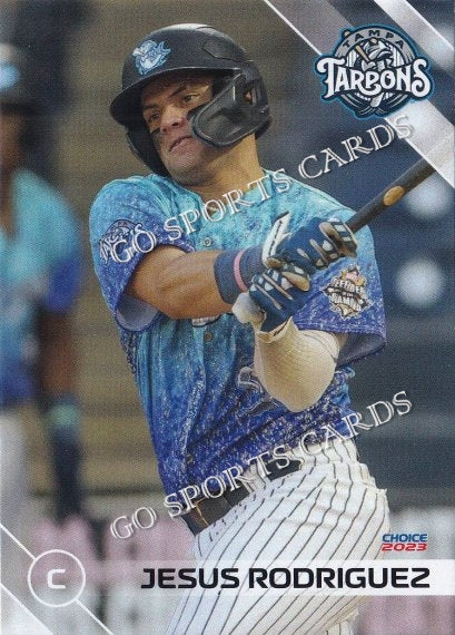 2023 Tampa Tarpons Jesus Rodriguez