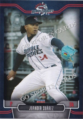 2024 Binghamton Rumble Ponies Joander Suarez