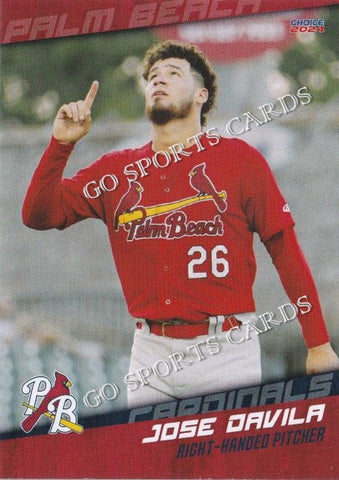 2024 Palm Beach Cardinals Jose Davila