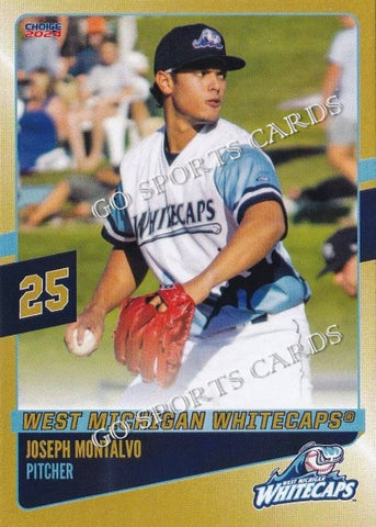 2024 West Michigan Whitecaps Top Prospects Joseph Montalvo