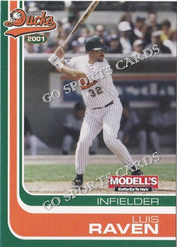 2001 Long Island Ducks Luis Raven