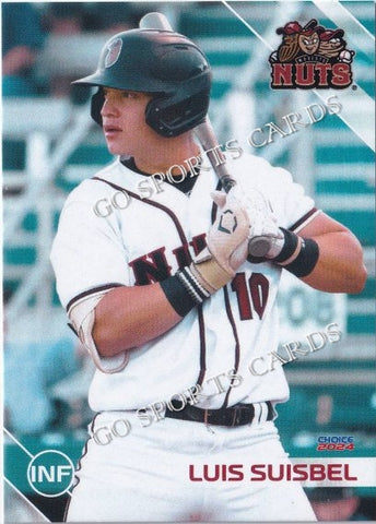 2024 Modesto Nuts Luis Suisbel