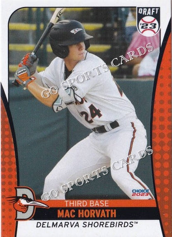 2023 Delmarva Shorebirds Update Mac Horvath
