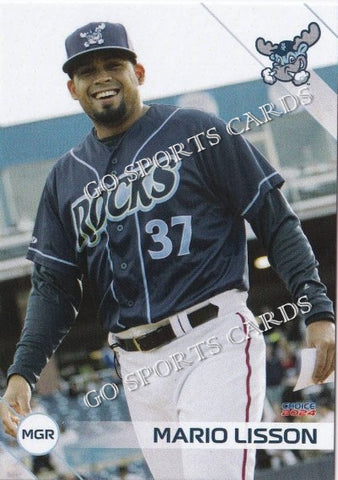 2024 Wilmington Blue Rocks Mario Lisson