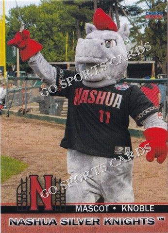 2023 Nashua Silver Knights Knoble Mascot